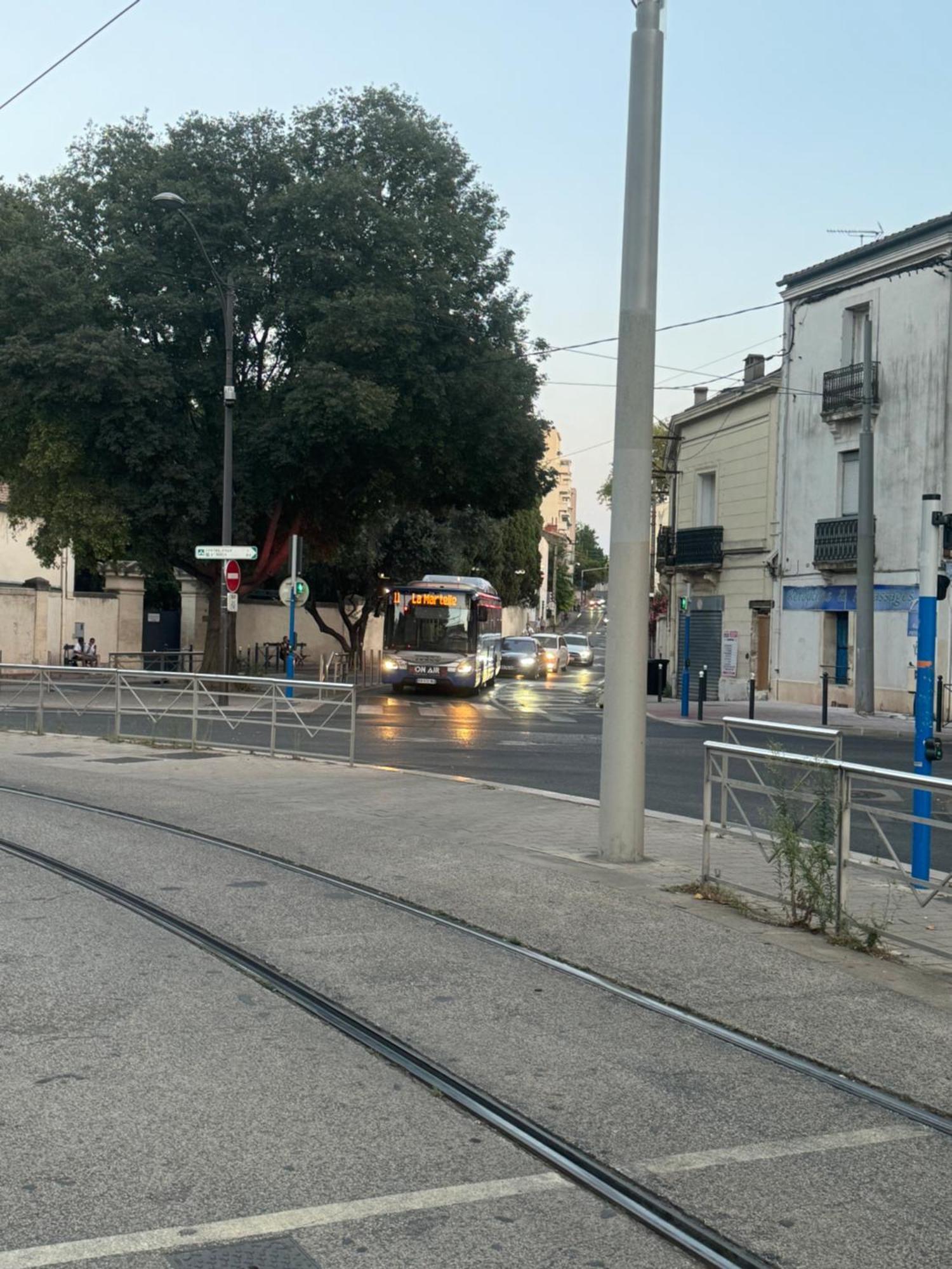 Paradis Calme En Plein Centre Ville Montpellier Dış mekan fotoğraf