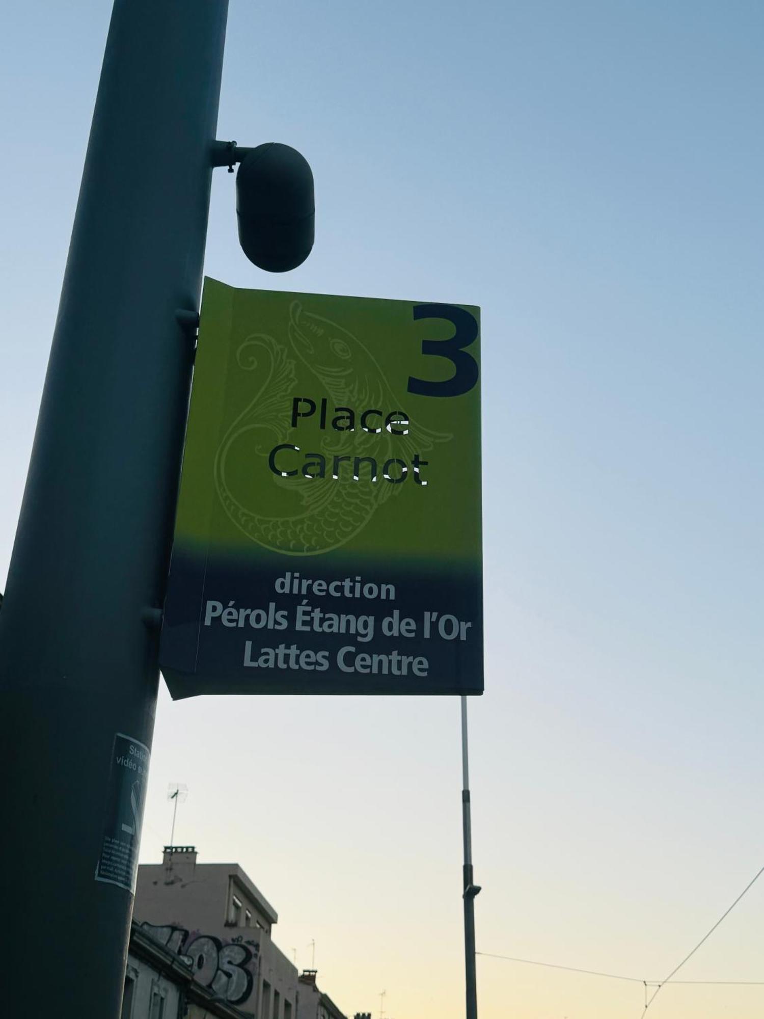 Paradis Calme En Plein Centre Ville Montpellier Dış mekan fotoğraf